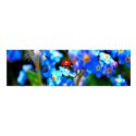 Панель под ванну I-screen "Ladybug"