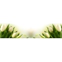 Панель под ванну I-screen Tulip