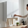 Шкаф подвесной Универсальный Plastic 2.0